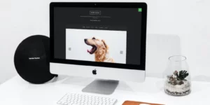 Nord Minimal and Clean WordPress Blog Theme 1.4.3破解版主题