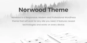 Norwood Minimalist MultiPurpose Portfolio WordPress Theme 1.2.1破解版主题