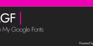 OMGF Pro Host Google Fonts Locally for WordPress 3.8.0破解版插件