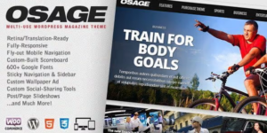 OSAGE MULTI-USE WORDPRESS MAGAZINE THEME 1.16.1破解版主题