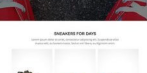 OboxThemes Lace and Sole WooCommerce Themes 1.0破解版主题