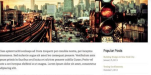OboxThemes Personal WordPress Theme 1.2.6破解版主题