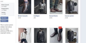 OboxThemes Social Commerce WordPress Plugin 1.3.4破解版主题
