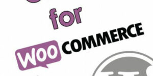 Offers for WooCommerce By Angelleye 3.0.2破解版插件