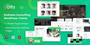 Ofiz Business Consulting 1.7破解版主题
