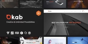 Okab Responsive Multi-Purpose WordPress Theme + RTL 5.9.17破解版主题