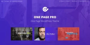 One Page Pro Multi Purpose OnePage WordPress Theme 1.2.2破解版主题