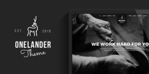 OneLander | Creative Landing Page WordPress Theme 2.4.13破解版主题