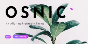 Osnic Premium Adsense Theme 2.5.0破解版主题