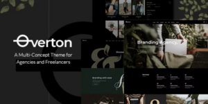 Overton Creative Theme for Agencies and Freelancers 1.4破解版主题