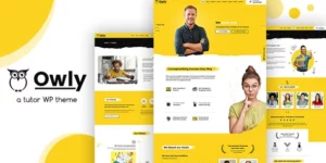 Owly Tutoring eLearning WP Theme 2.4破解版主题