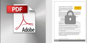 PDF Embedder Premium 5.2.3破解版插件
