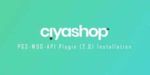 PGS woo API v 4.4.1破解版插件