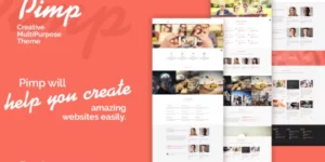 PIMP Creative MultiPurpose Theme 1.7破解版主题