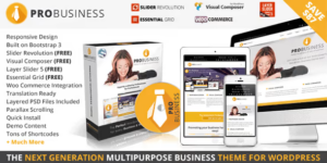 PRO Business Responsive Multi-Purpose Theme 2.6.2破解版主题