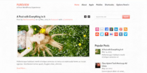 OboxThemes Depth WordPress Theme 1.2.5破解版主题