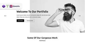 Papri Portfolio Creative WordPress Theme 1.0.1破解版主题