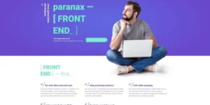 Paranax IT Courses WordPress Elementor Theme WordPress Theme 1.0.0破解版主题
