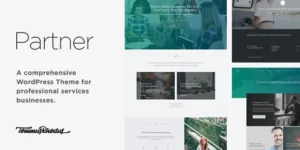 Partner Accounting and Law Responsive WordPress Theme 1.0.7破解版主题