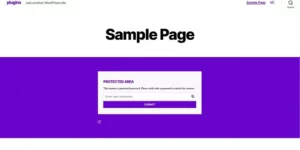 Passster (Premium) Plugin to Password-Protect portions of a Page or Post 3.3.8破解版插件