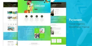 Payanam Travel WordPress Theme 1.0.0破解版主题