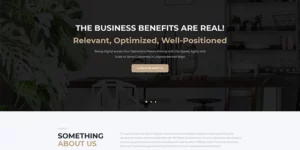 Payrollix Internet Business Accounting WordPress Theme 1.0.1破解版主题