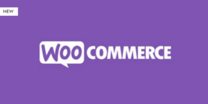 Paywall for WooCommerce 4.1.1破解版插件