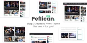 Peflican A Newspaper and Magazine WordPress Theme 2.0.0破解版主题