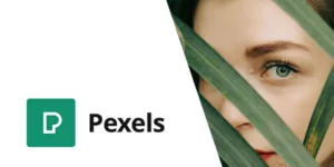 Pexels Import Free Stock Images into WordPress 1.0.0破解版插件