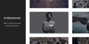 Pheromone Creative Multi-Concept WordPress Theme 1.3.2破解版主题