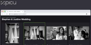Picu Pro  – Online Photo Proofing with WordPress 1.4.6破解版插件