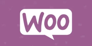 Pie Register WooCommerce Add on 1.6破解版插件