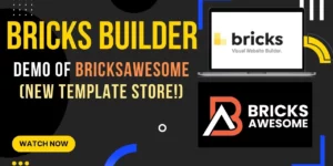 Plaster Add-On for Automatic.css for Bricks Oxygen 1.1.3破解版插件