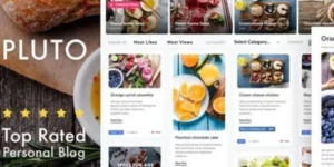 Pluto Personal Masonry Blog Theme for WordPress 4.4.0破解版主题