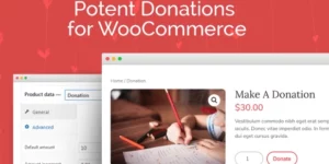 Potent Donations For Woocommerce [Wp Zone] 1.1.12破解版插件