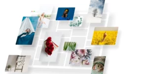 Premium Photo Gallery Export/Import 1.1.7破解版插件