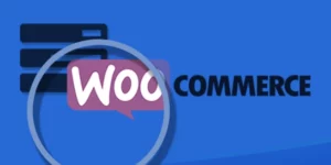 Prevent Direct Access WooCommerce Integration 1.0.5破解版插件