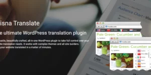 Prisna Translate Highly Customizable WordPress Translation Plugin 1.15.28破解版插件