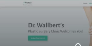Pristine Plastic Surgery WordPress Theme 1.0.0破解版主题