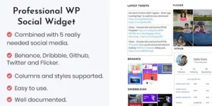 Professional WP Social Widget Plugin 1.2破解版插件