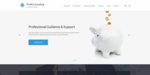 Profit – WordPress Accounting Theme 1.6.5破解版主题