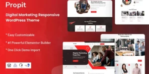 Propit Digital Marketing WordPress Theme 1.0.0破解版主题