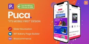 Puca 2.6.19破解版主题