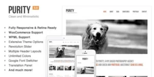 Purity: Responsive