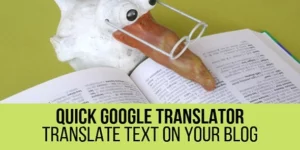 Quick Google Translator Plugin for WordPress 1.0.4破解版插件