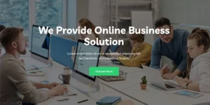Raino Digital Agency One page WordPress Theme 1.0.1破解版主题