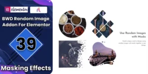 Random Image Addon For Elementor 1.0破解版插件
