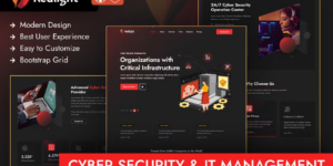 Redlight Cyber Security IT Management WordPress 1.0破解版主题