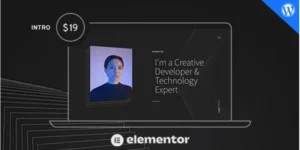 Reframe Resume Personal Portfolio WordPress Theme 1.25破解版主题