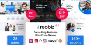 Reobiz Consulting Business WordPress Theme 5.0.5破解版主题